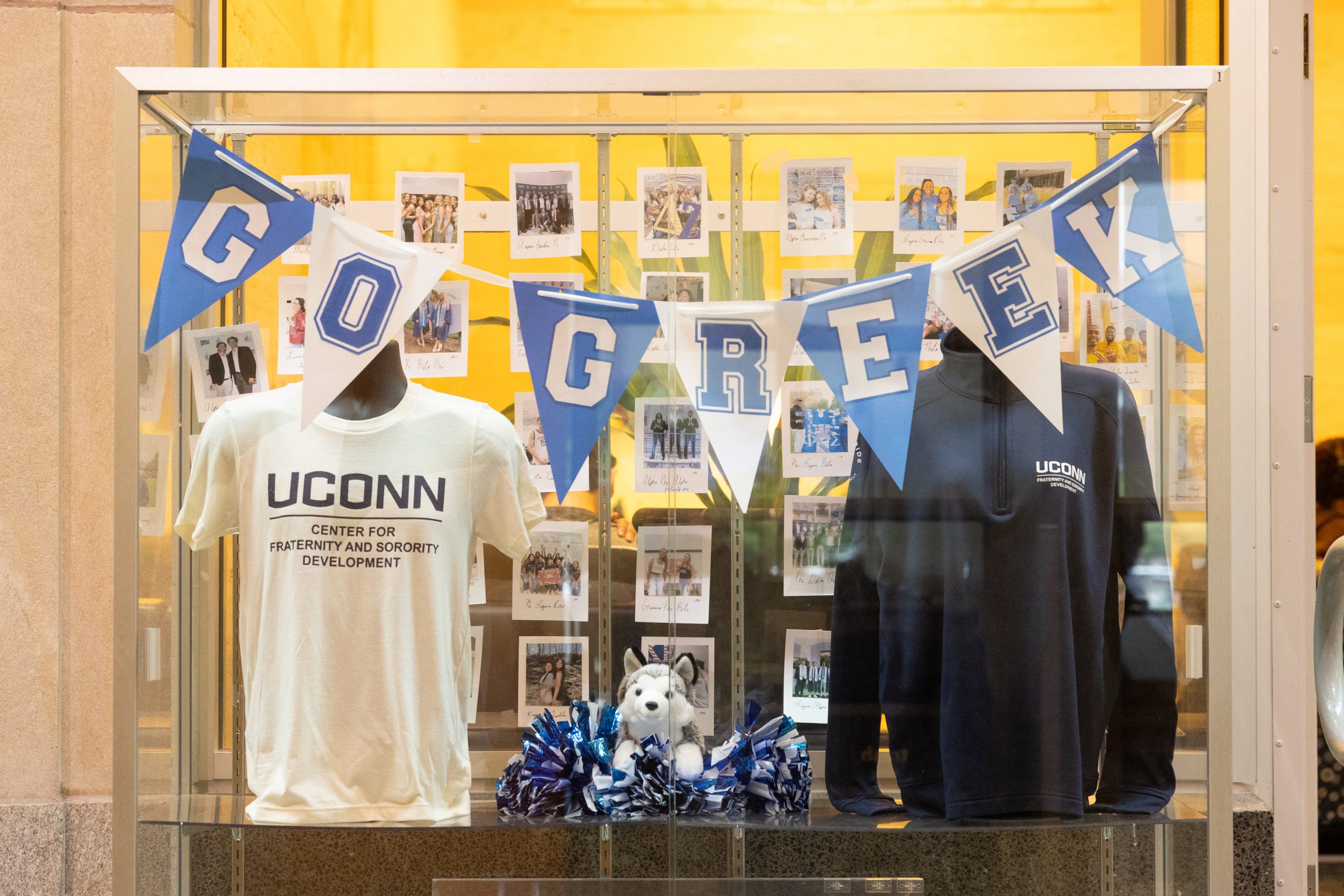 2024-09-06_GreekLifeDisplay-HORIZ.jpg A display promoting UConn's Center for Fraternity and Sorority Development in the Student Union on Sept. 26, 2024. (Sydney Herdle/UConn Photo)