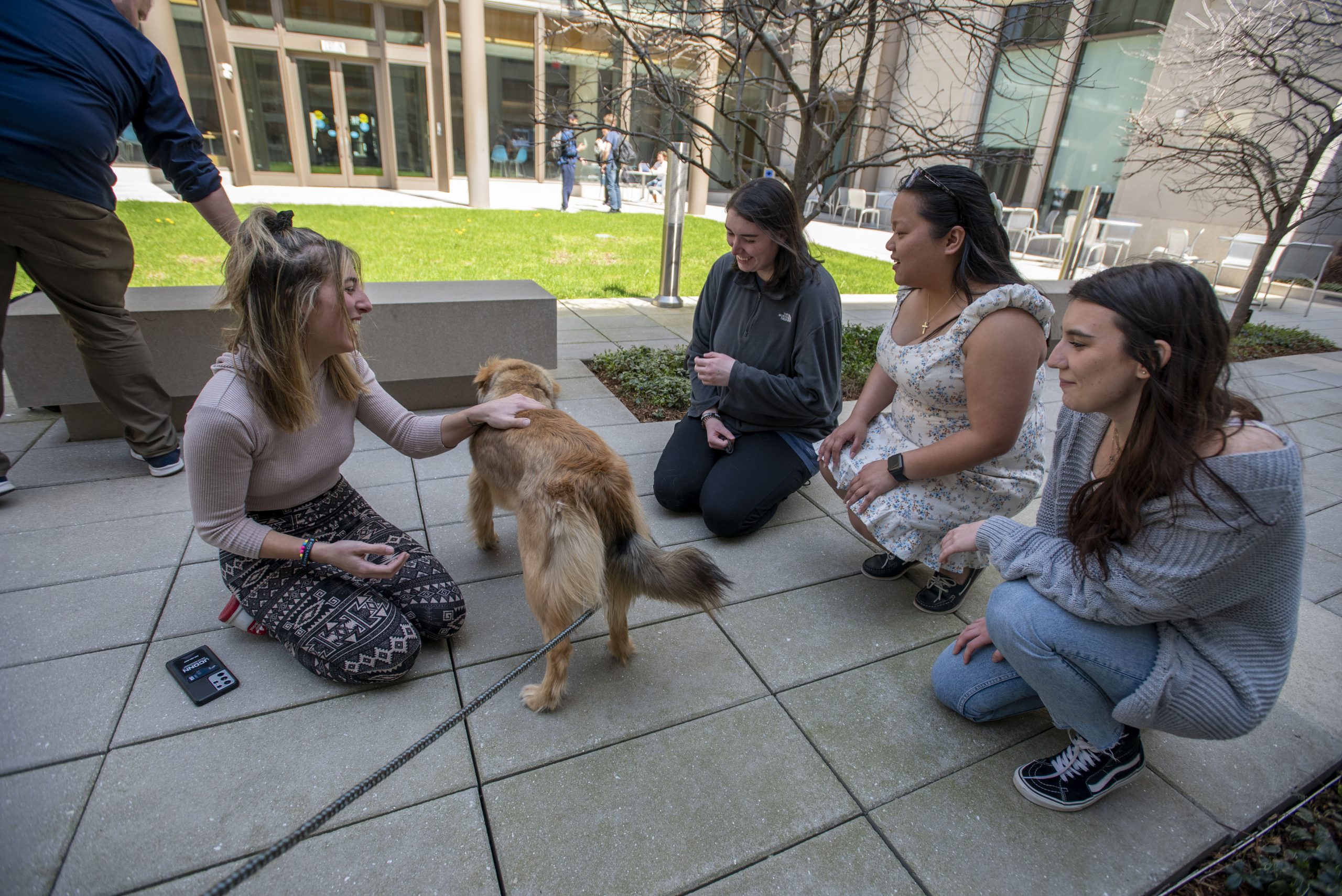 hartford220413e0051.jpg UConn Hartford students petting a dog in the courtyard. April 13, 2022. (Sean Flynn)