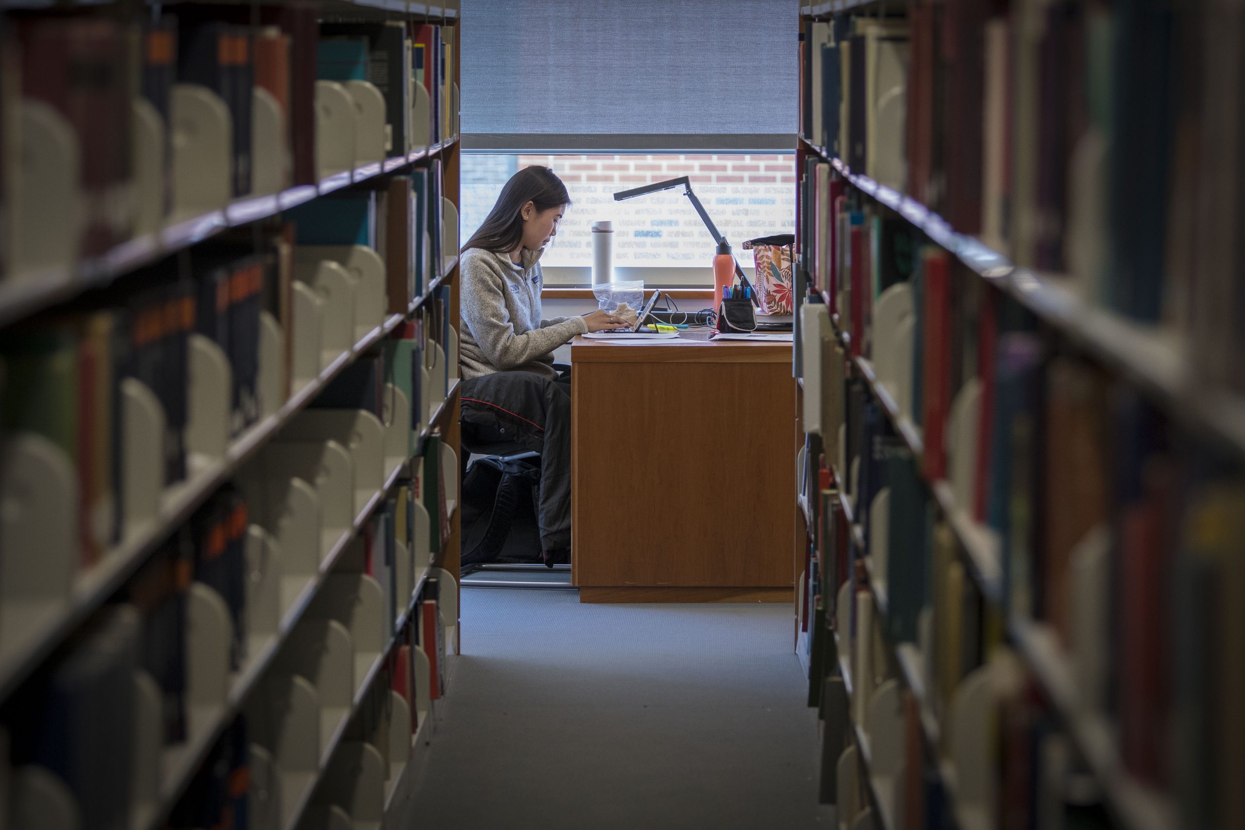 Students studying in the Pharmacy Library on April 9, 2018. (Sean Flynn/UConn Photo)