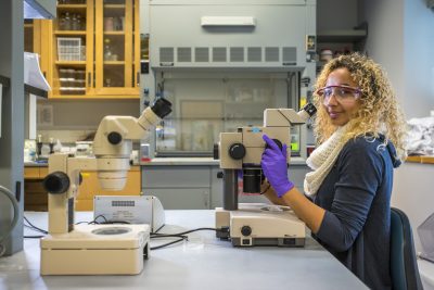University of Connecticut Office of the Provost Avery Point Resources
